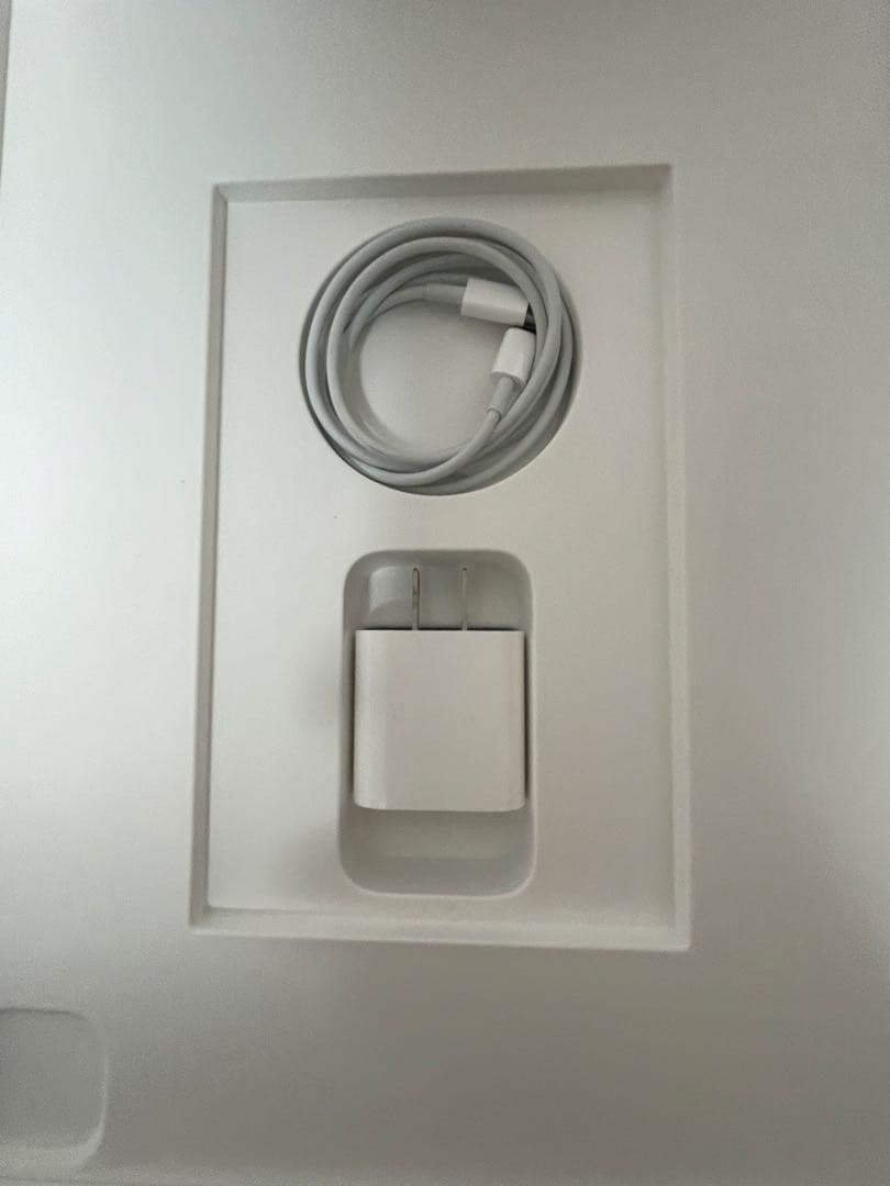 【美品】iPad Pro 12.9インチ　第4世代Wi-Fi +cellular