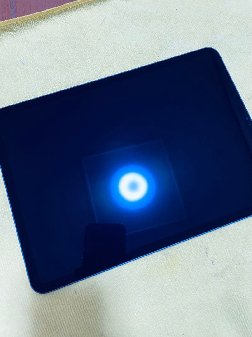 Apple iPad Pro 11 (第2世代) 256GB WiFi モデル