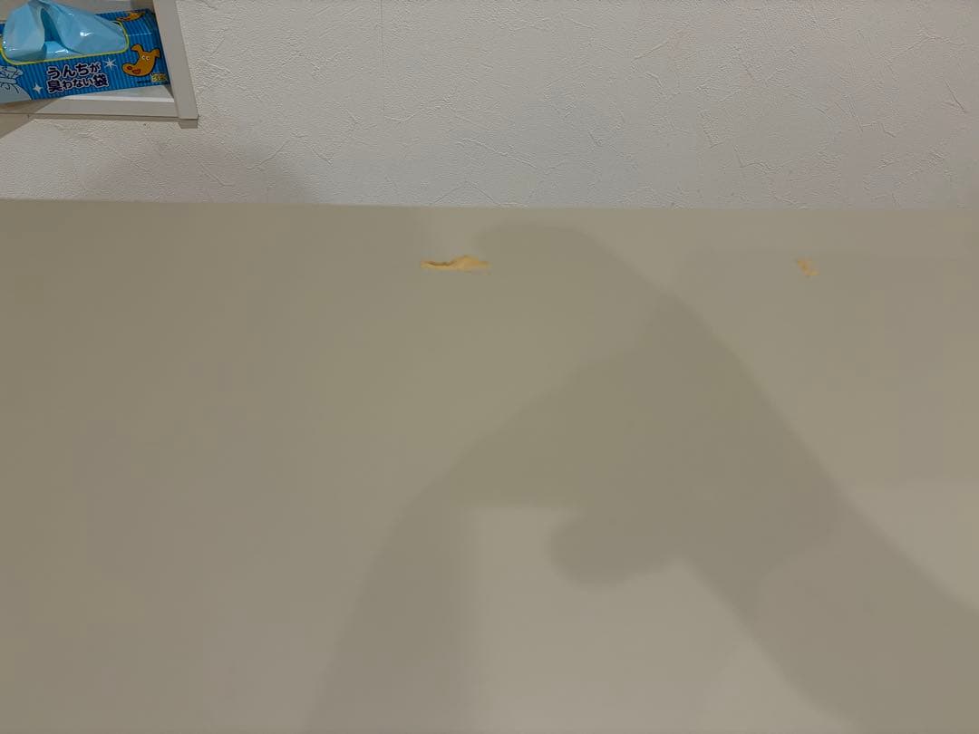 IKEA スカルスタ/トロッテン 昇降式デスク(120×70)