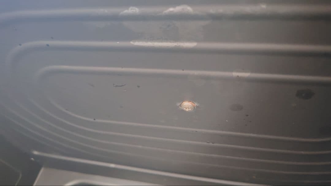 美品 日立 MRO-S8A(K) オーブンレンジ ヘルシーシェフ