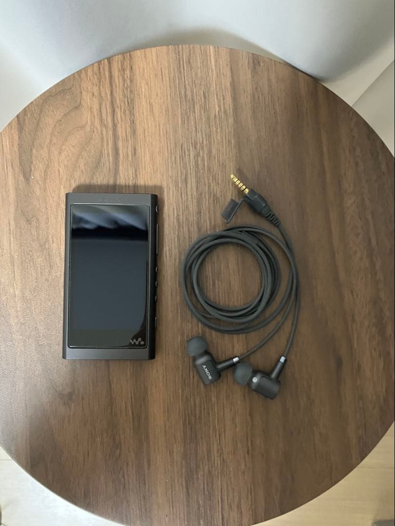 Sony NW-A55 + IER-NW500N セット