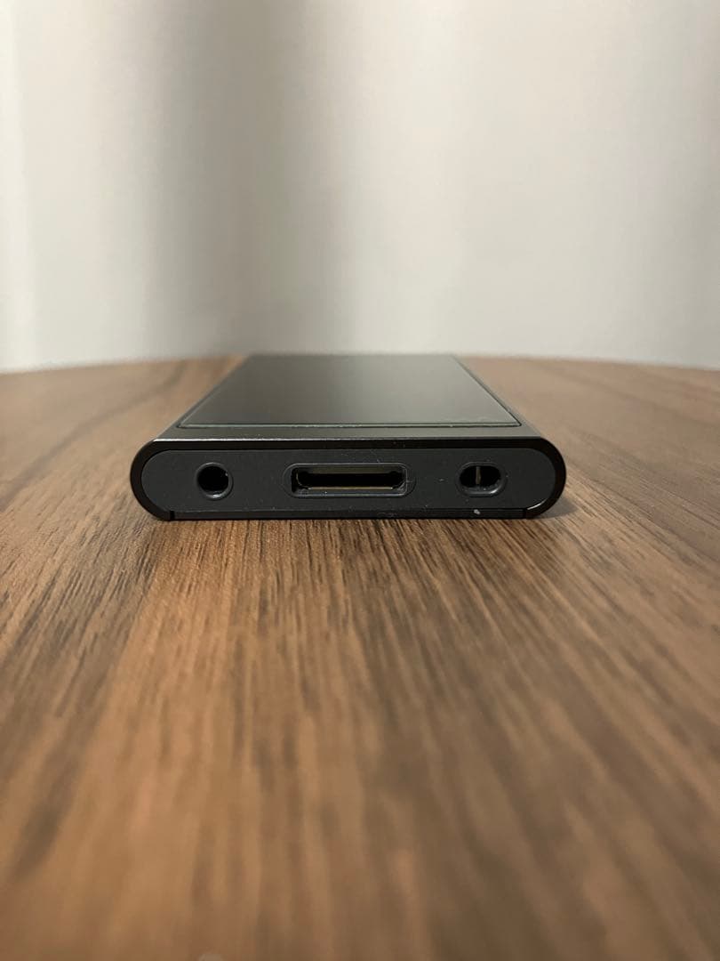 Sony NW-A55 + IER-NW500N セット