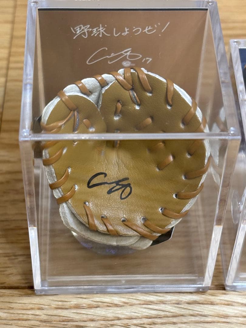 一点限定！⭐️期間限定価格⭐️大谷翔平 サイングローブ＆2024シルバースラッガー賞