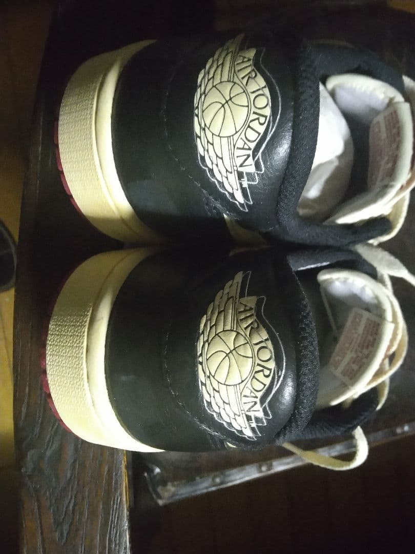 Nigel Sylvester Nike Air Jordan 1 27.5㎝