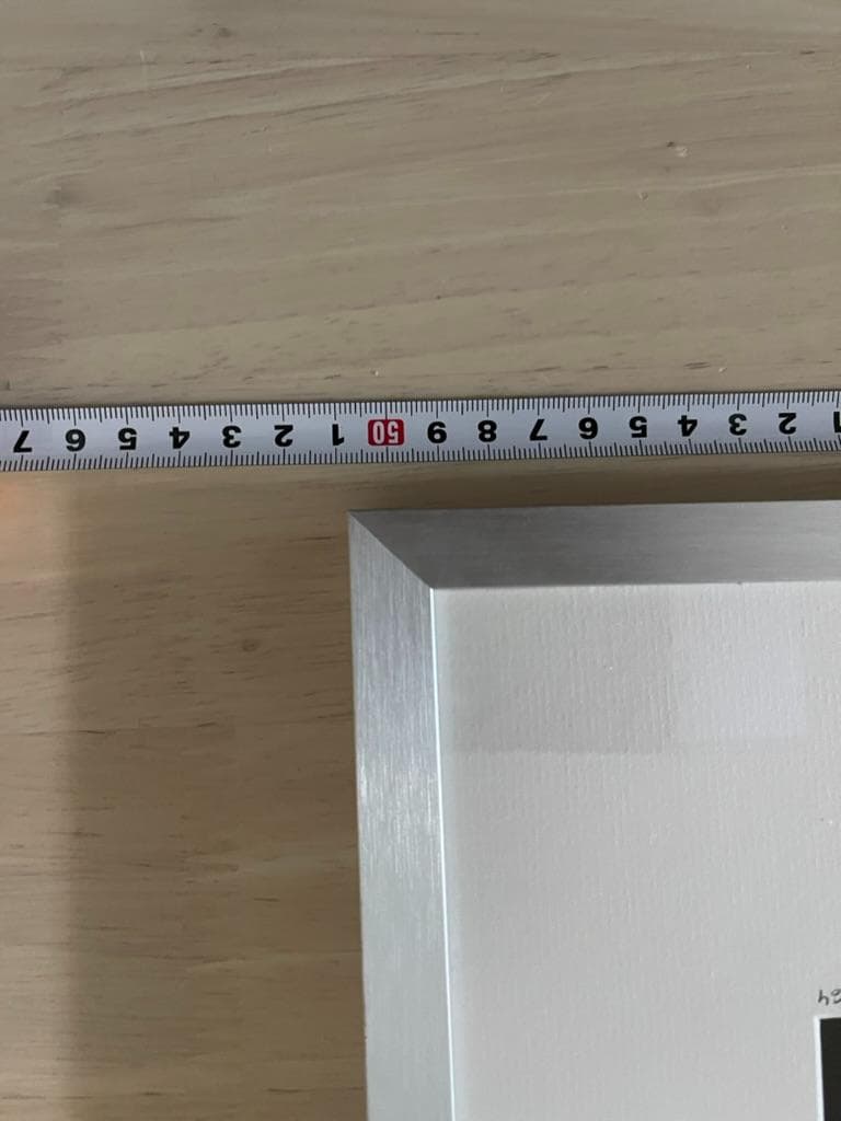 【限定】イエローコーナー アート写真 ライオン ペドロ・ハルケ・クレブス 額装