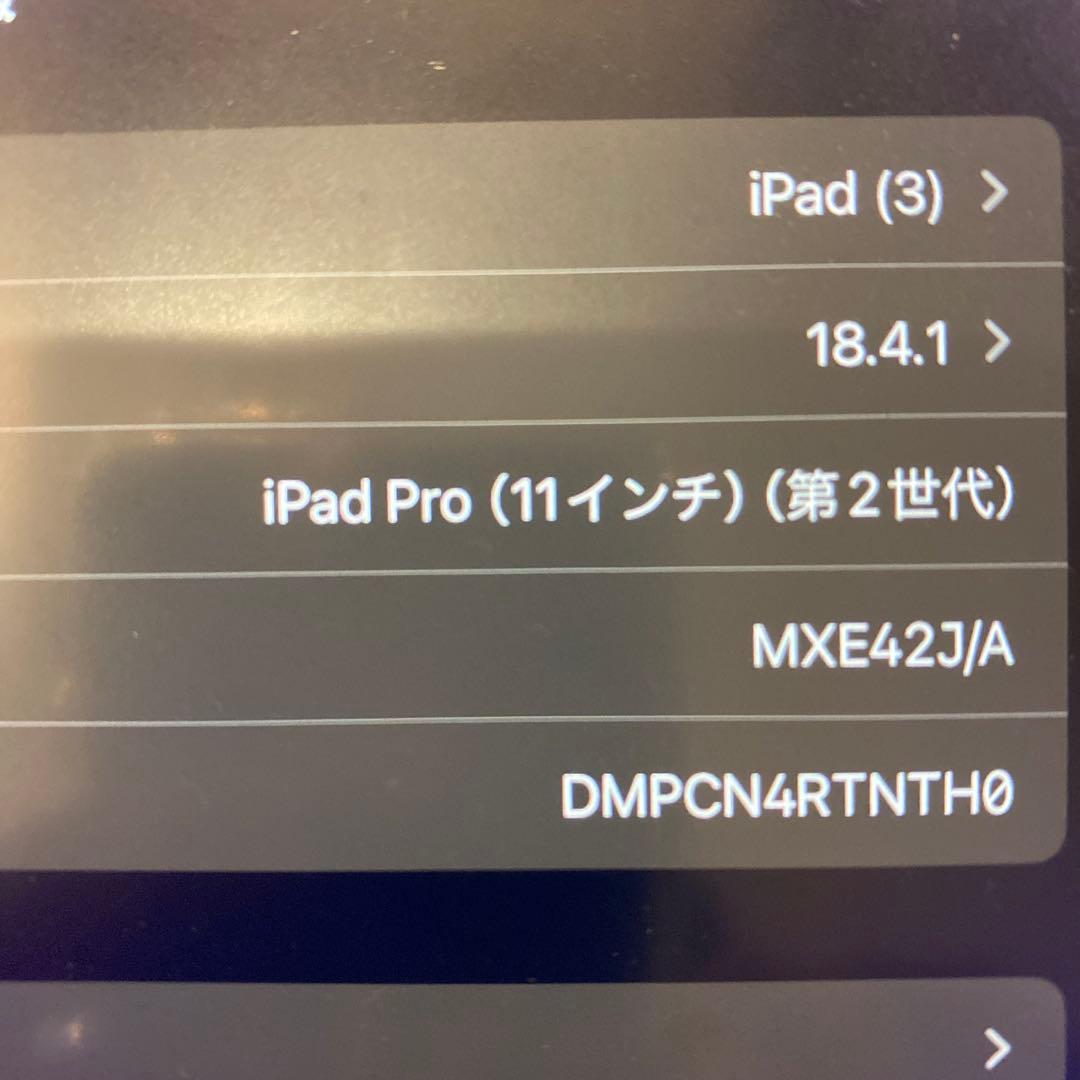 iPad Pro 11インチ第2世代　Cellular 256GB SIMフリー