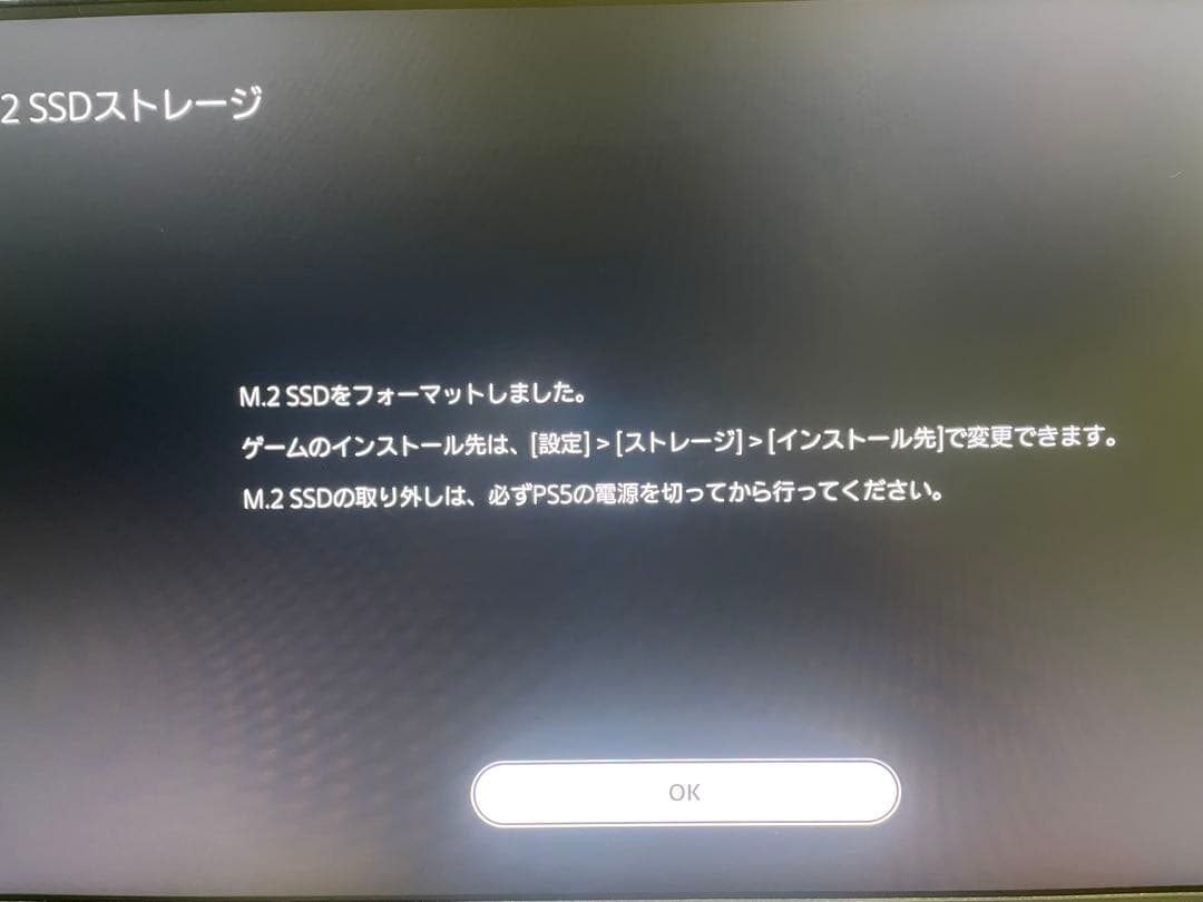 Nextorage NEM-PA 1TB PS5対応