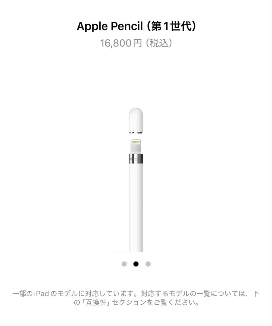 Apple Pencil (第1世代) ホワイト 専用ケース付き
