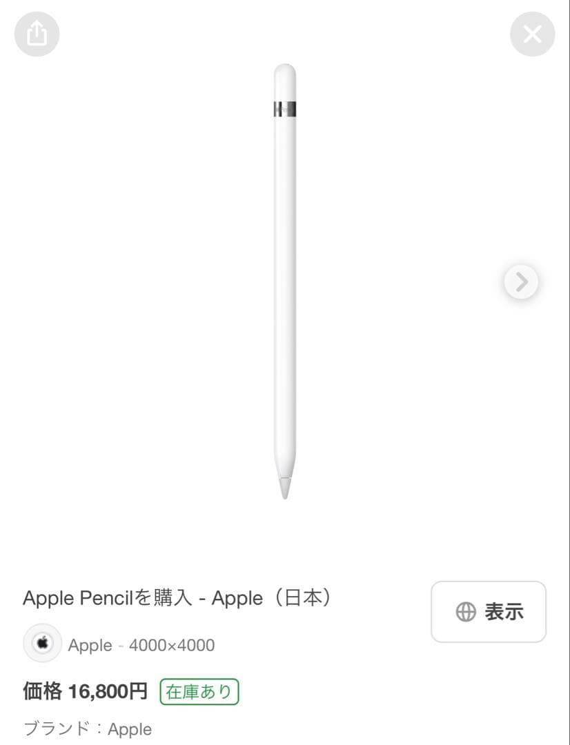 Apple Pencil (第1世代) ホワイト 専用ケース付き