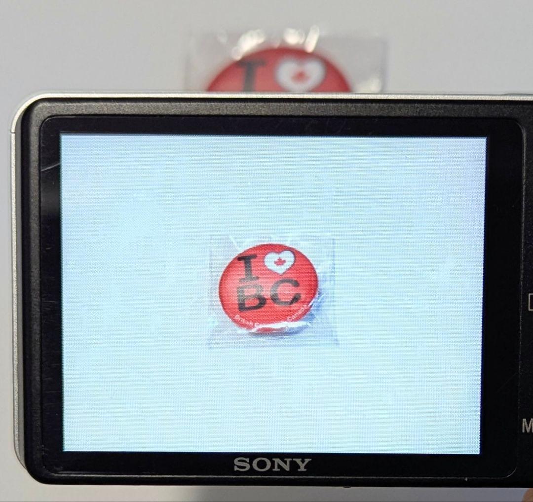 SONY Cyber-shot DSC-W350 デジタルカメラ 動作品 ソニー