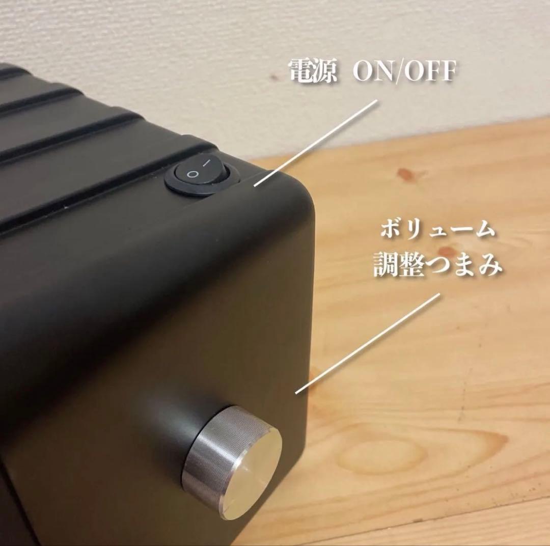 BOSE 101mm Bluetoothスピーカー2181