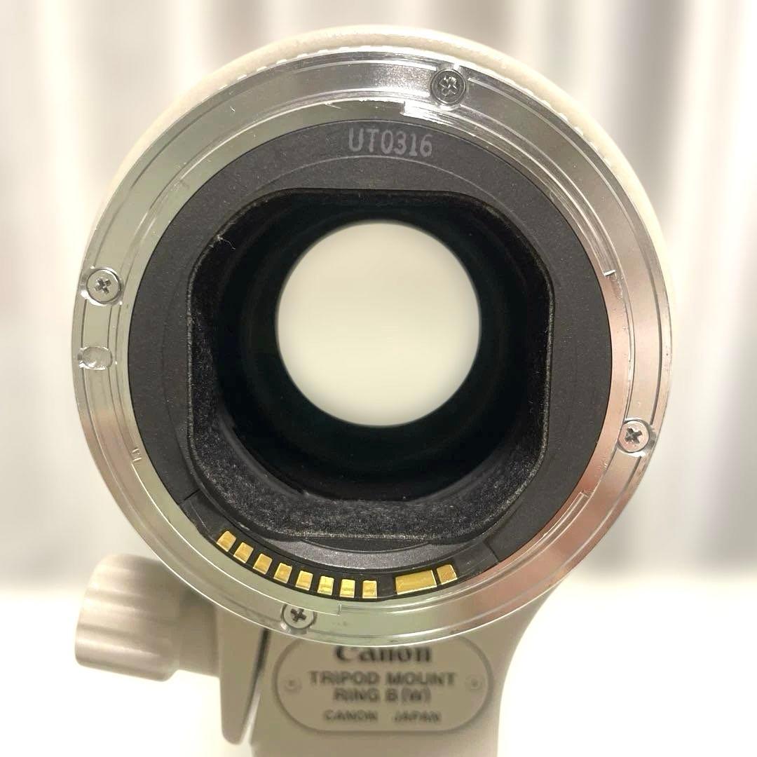 レンズ(ズーム) Canon EF 70-200mm F2.8 L USM