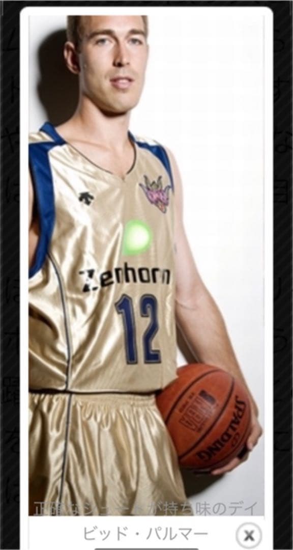 お宝！本物！デビットパルマー着用サイン入り琉球ゴールデンキングスユニフォーム