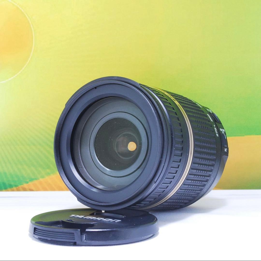 高倍率✨TAMRON 18-270mm Di II VC PZD Canon用