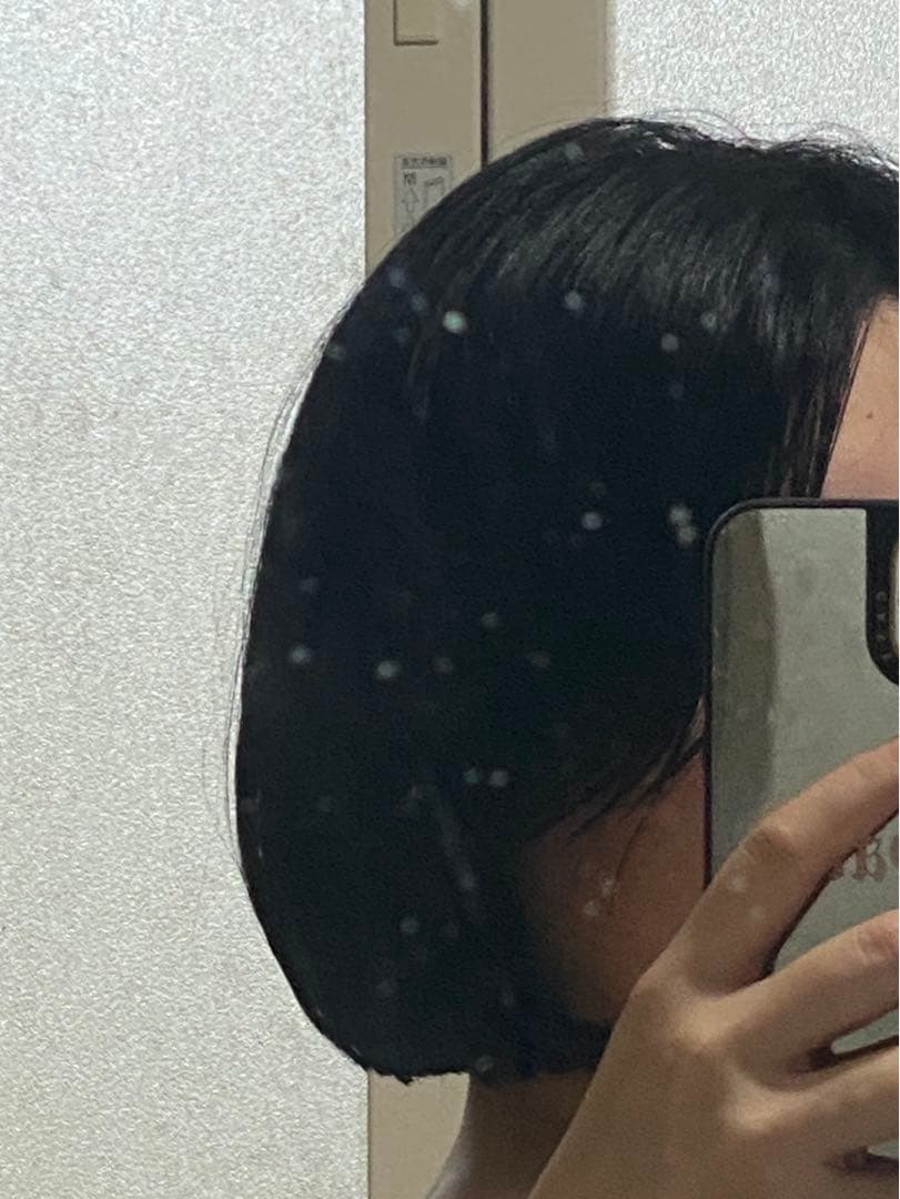 髪の毛 ウィッグ 黒髪 束