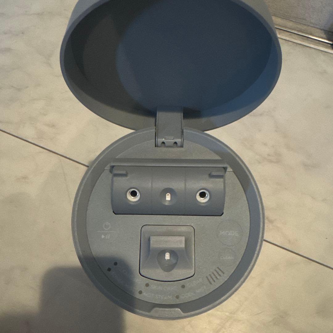 SALONIA サロニア　ピュア　ブライト　スチーマー