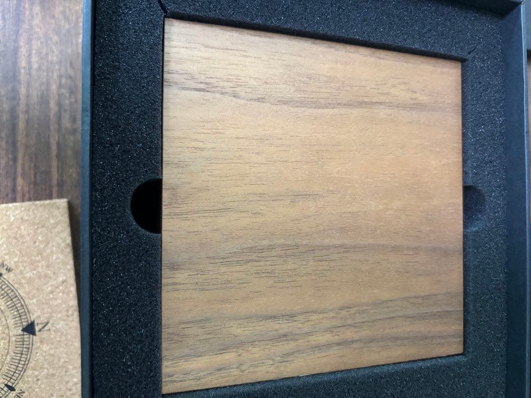 FLYTE ニコラ 真空管浮遊ランプ