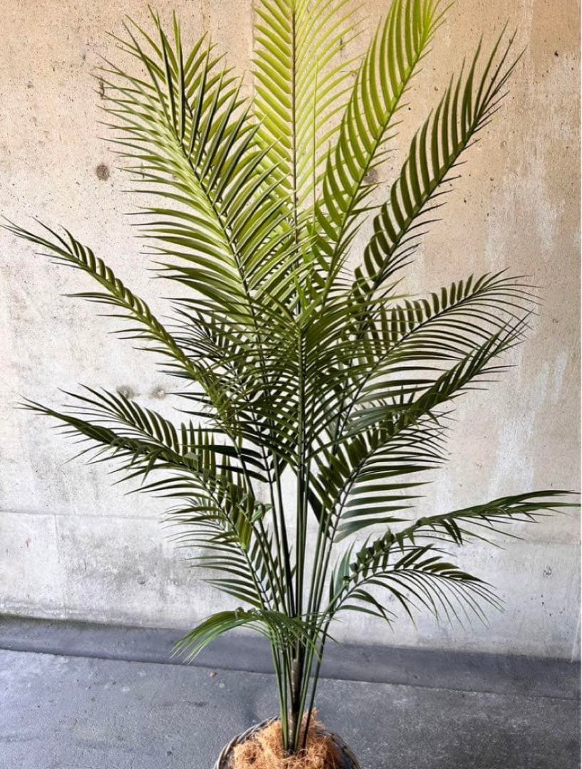 光触媒　人工観葉植物　ウォールグリーン　フェイクグリーン　アレカヤシ15060