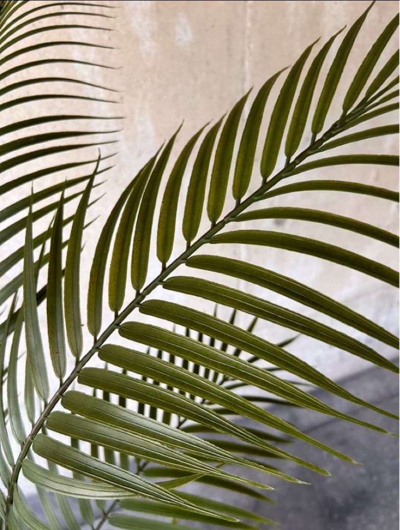 光触媒　人工観葉植物　ウォールグリーン　フェイクグリーン　アレカヤシ15060