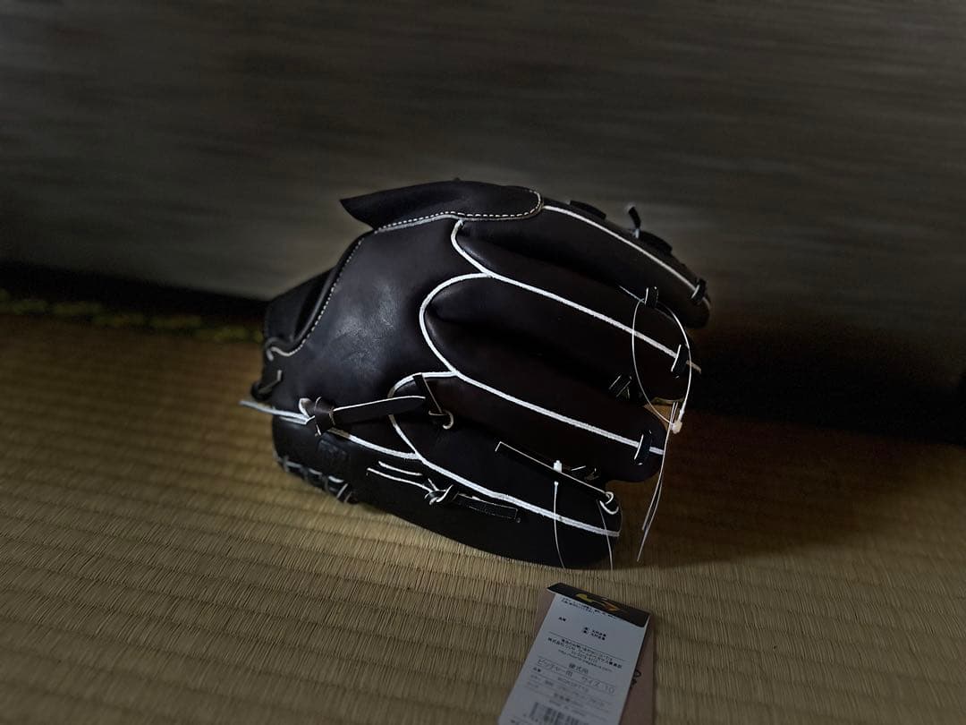 【新品未使用・タグ付】ワールドペガサス 硬式 左投手用 WGK5PT13