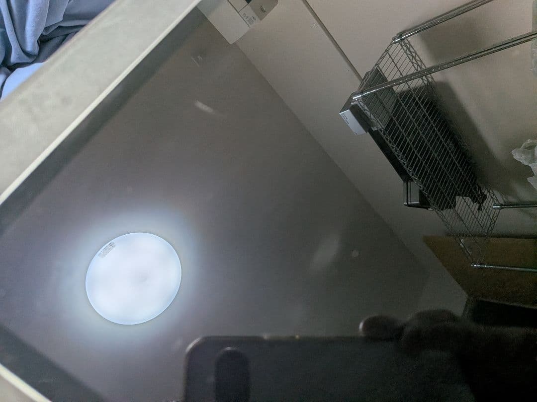 iPadPro 12.9 第5世代 512GB Cellular (A2461)