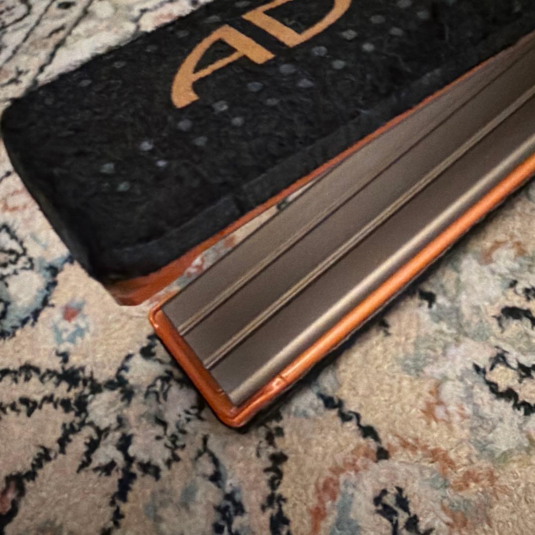 美品✨アドスト 公式 プレミアム ADST Premium DS2