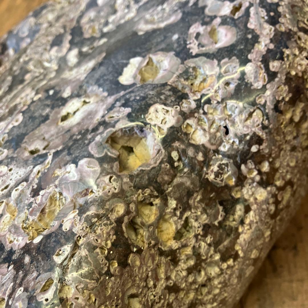 ボタン石 梅花石 鑑賞石 天然石 自然石 原石 置物 インテリア 雑貨