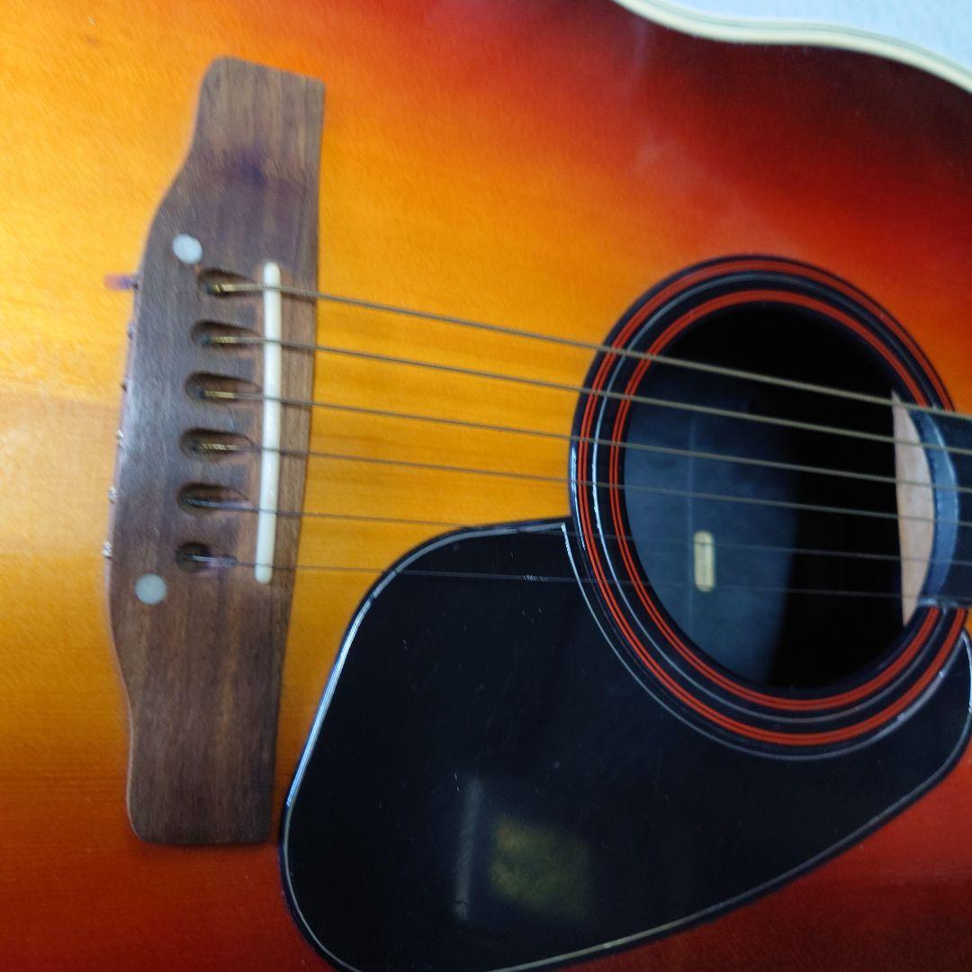 applause アコースティックギター サンバースト