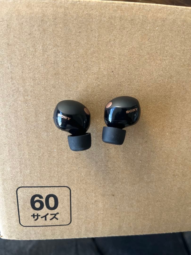 WF-1000XM5 専用ケース付き　SONY ワイヤレスイヤホン