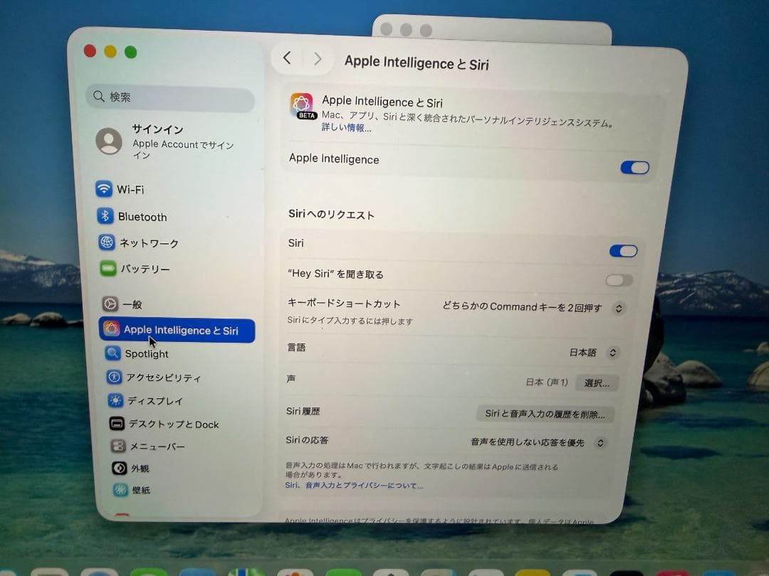 16GB M1モデル　Mac Book Air 2020 マックブックエア 91