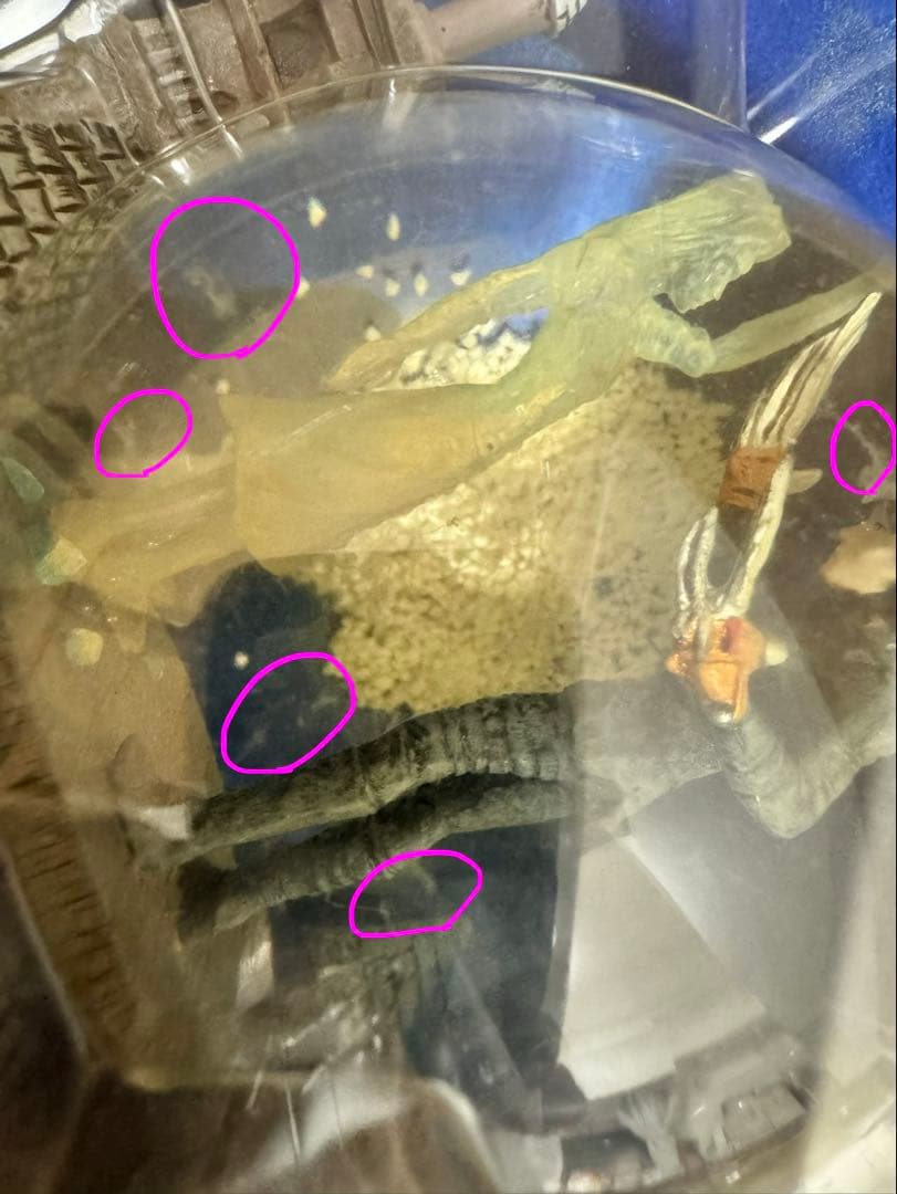 新品未使用　シザーハンズ　アニバーサリーBOX