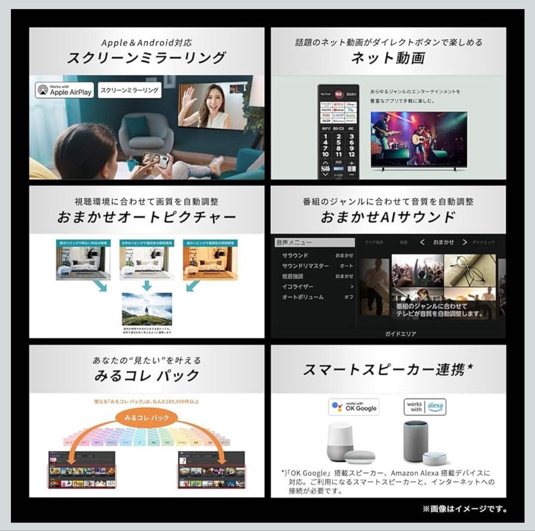 REGZA レグザ テレビ 65E350R 2025年モデル