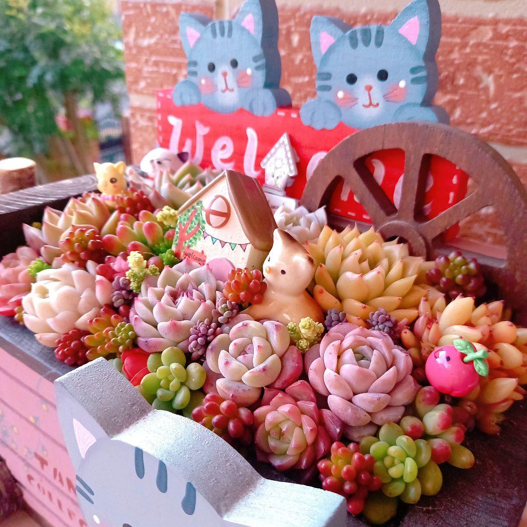 ❤️多肉植物❤️そのまま飾れる寄せ植え❤️サバトラねこちゃん~❤️