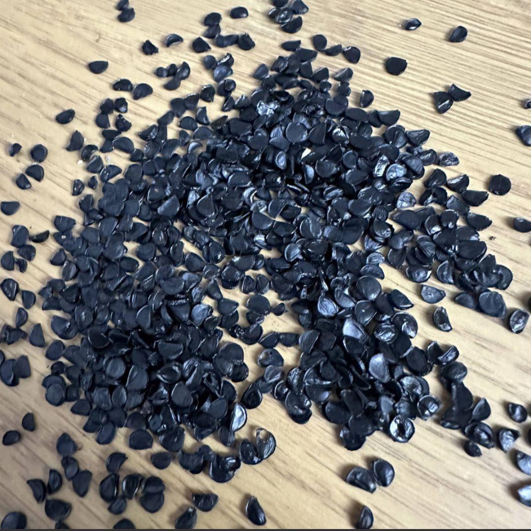 11月入荷 オテロイ 種子 1000粒 チタノタ アガベ