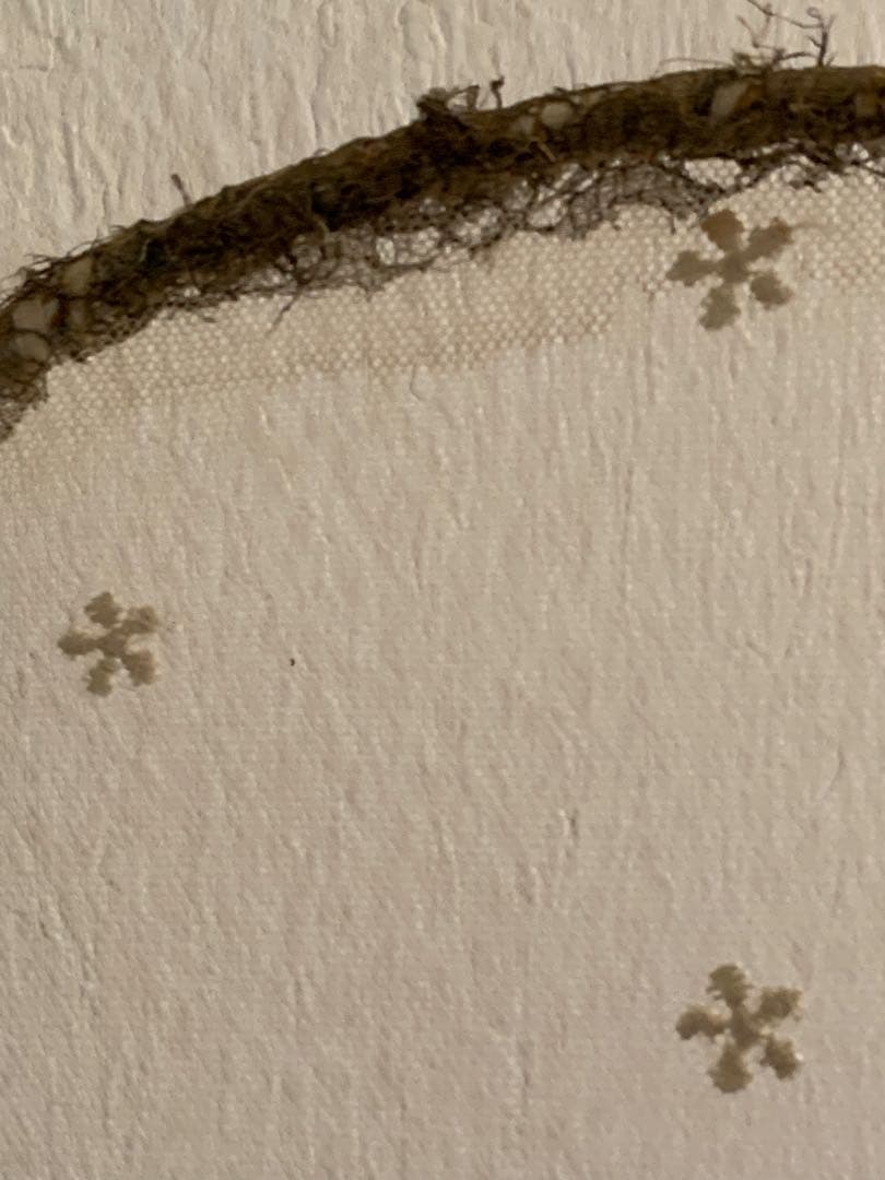 フランスアンティーク　レースの羽 チュールレース オブジェ