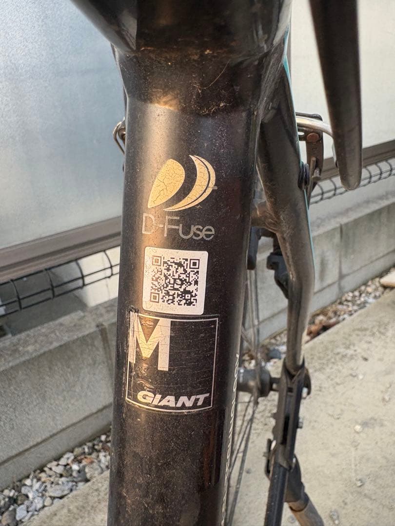 こっけ　　　　　　　　　　　GIANT ESCAPER X Mサイズ