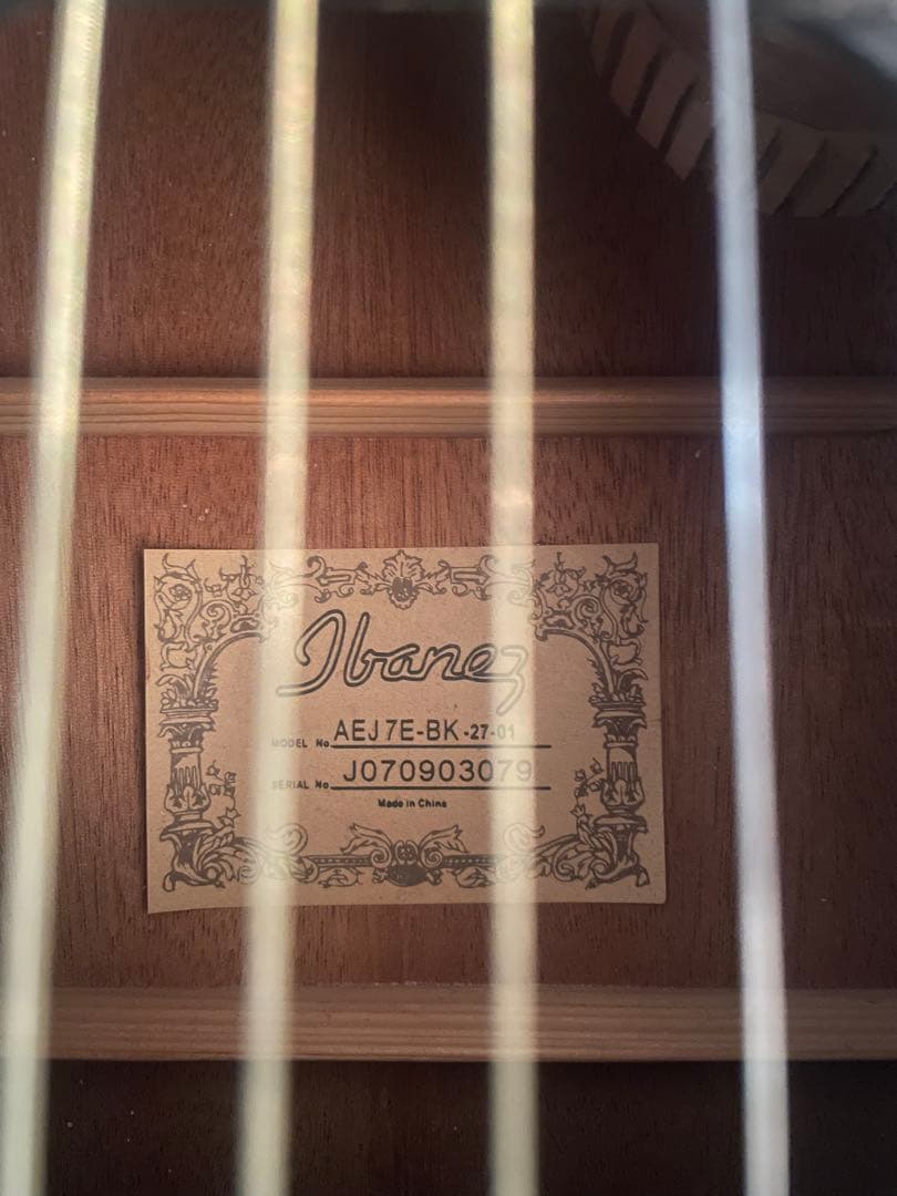 【希少】Ibanezアイバニーズ エレアコ純正ギグケース付アコースティ