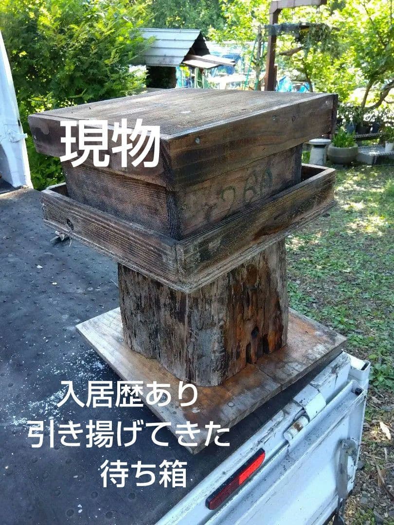 日本みつばち捕獲用トラップ