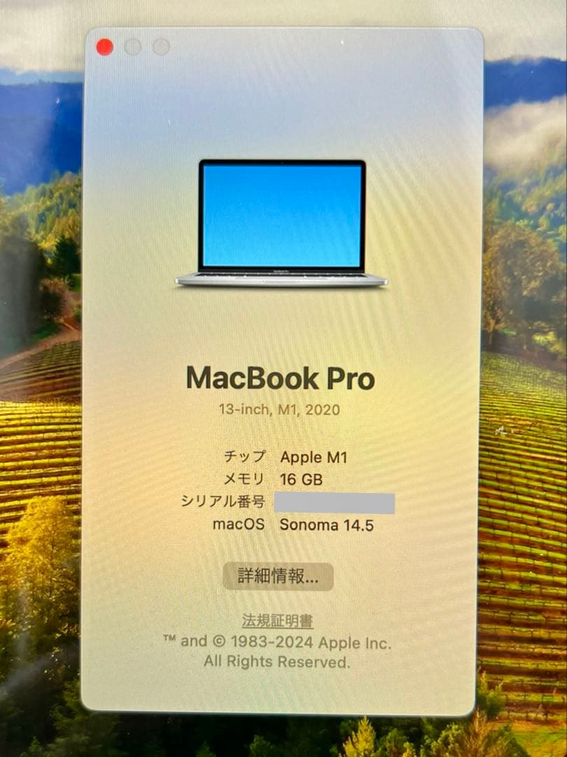 Apple MacBook Pro M1 13インチ メモリ16GB 1TB