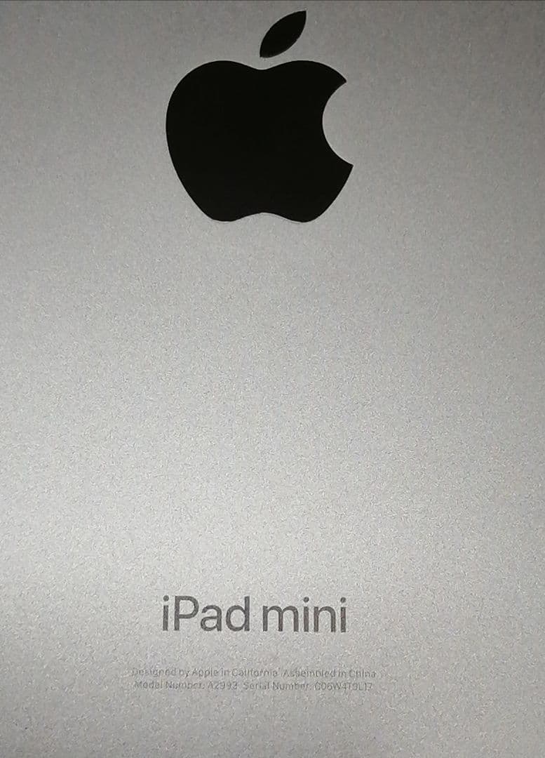 Apple iPad mini 第7世代 256GB Wi-Fi スペースグレー