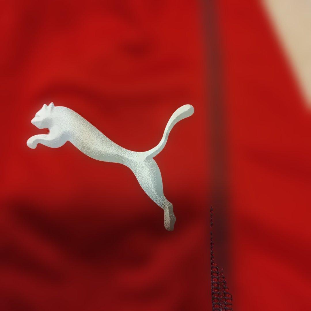 【希少】Brew SAGA　KYUSYU INAX FC Puma 　 10番