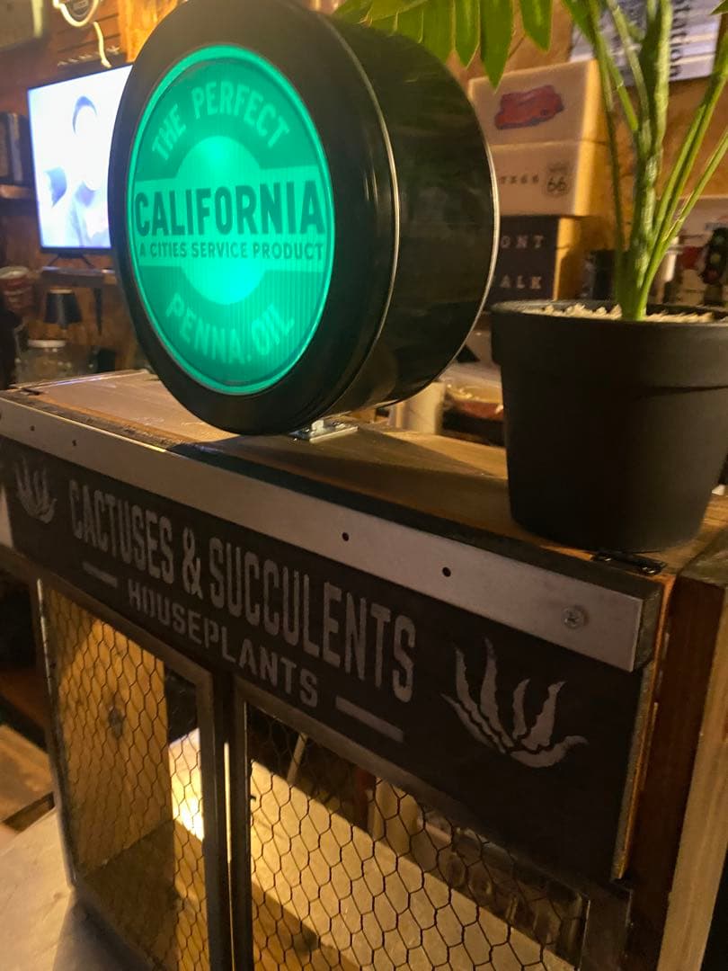 照明付き棚　多肉　アガベ　カルフォルニア　ドライガーデン