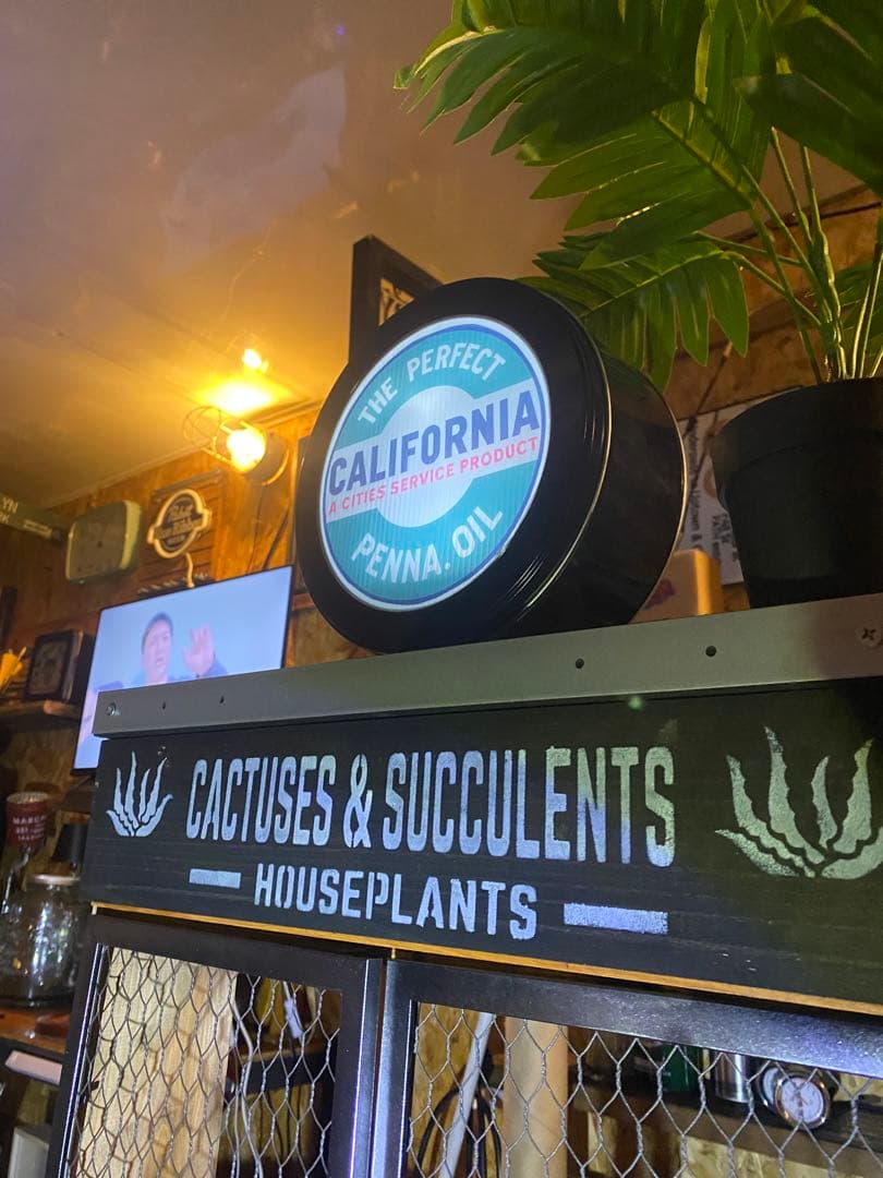 照明付き棚　多肉　アガベ　カルフォルニア　ドライガーデン