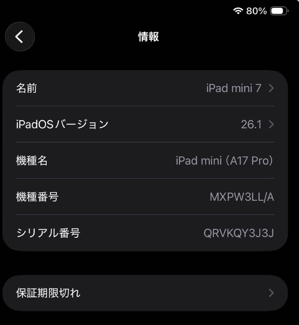 iPad mini A17pro 256GB セルラー 【アメリカ版】