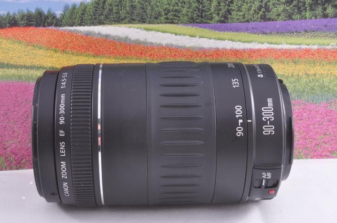 フード付き！Canon キヤノン EF90-300mm 望遠レンズ 整備済み。