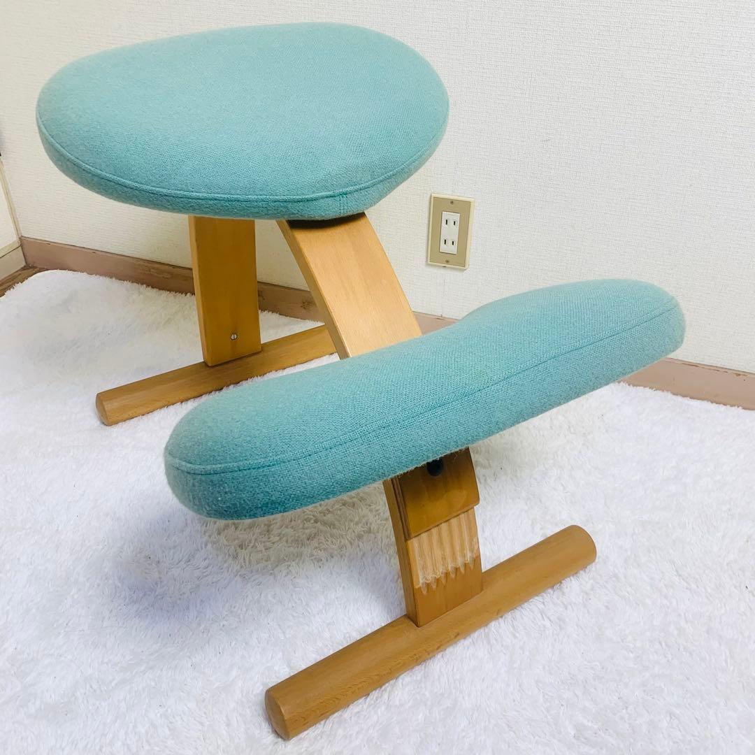 バランスチェア イージー バランスラボ(旧サカモトハウス) はっ水カバー付き