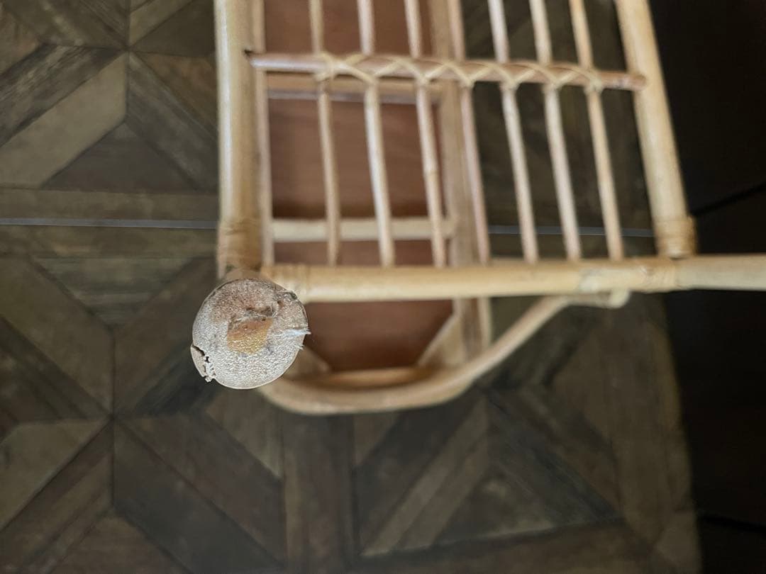 ラタン コンソールテーブル