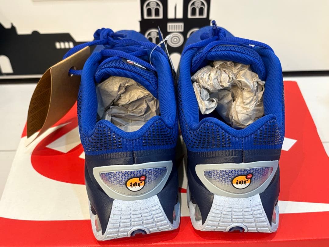 パルさん専用ナイキAIR MAX Dn 22.5 FB8987-400 2足