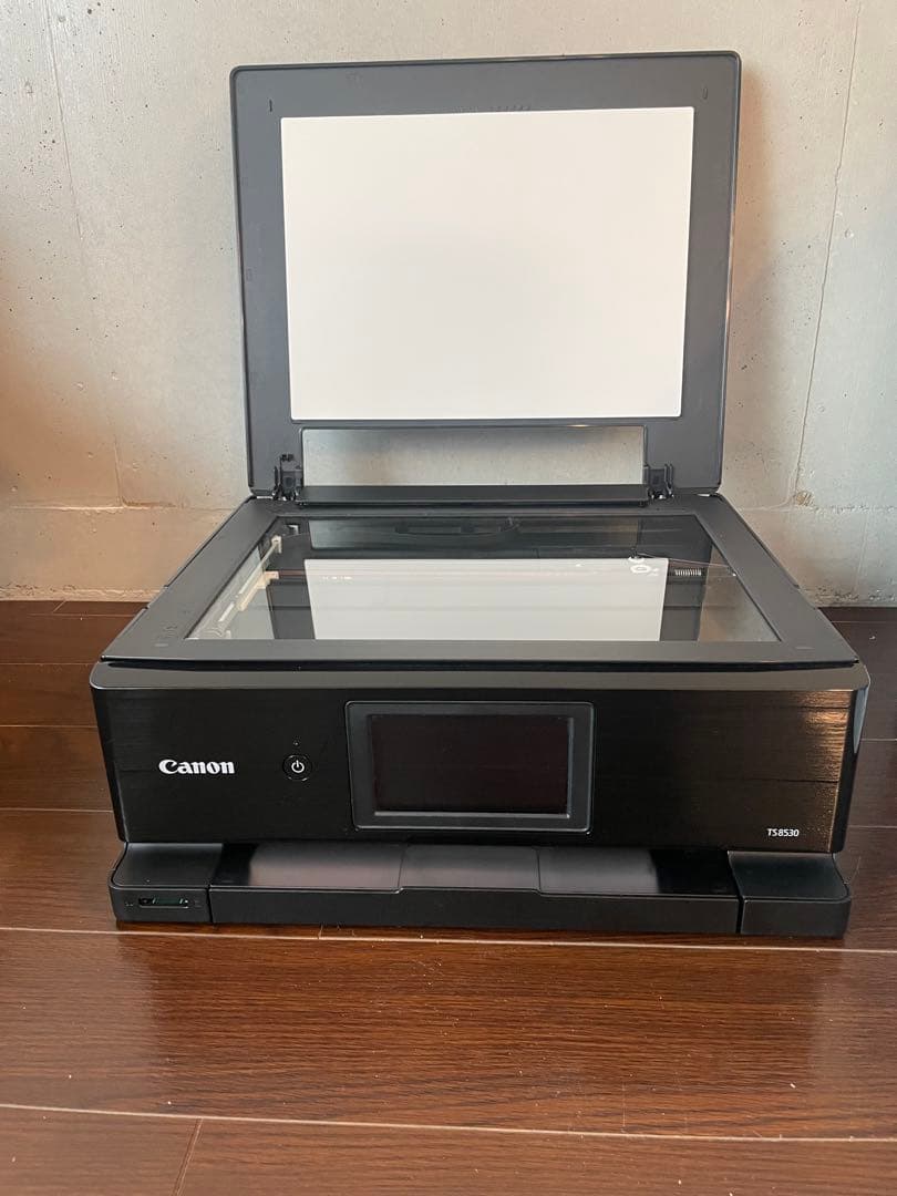 【純正インク大量付・保証書有】Canon PIXUS TS8530 2023年製