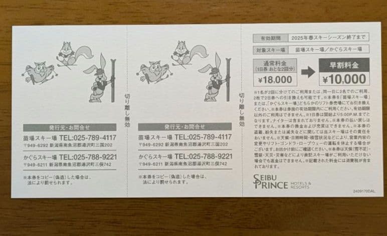 かぐらスキー場リフト券 1日券×2枚